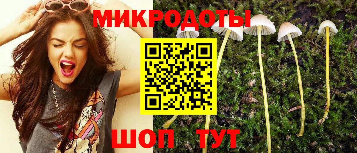 Вышний Волочёк  Псилоцибиновые грибы прущие грибы  Псилоцибиновые грибы прущие грибы  Вход с VPN 